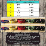 The Garden™ Fashion Pet Set of Collar & Leash Artist Collars & Harnesses Pet Clever 