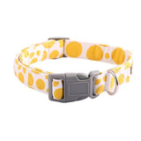 The Lemon™ Fashion Pet Set of Collar & Leash Artist Collars & Harnesses Pet Clever collar XXS 
