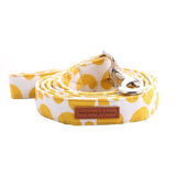 The Lemon™ Fashion Pet Set of Collar & Leash Artist Collars & Harnesses Pet Clever leash XXS 