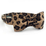 The Leopard™ Fashion Pet Set of Collar & Leash Artist Collars & Harnesses Pet Clever collar with bowtie XS 