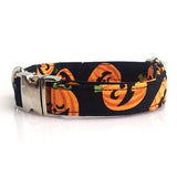 The Pumpkin™ Fashion Pet Set of Collar & Leash Artist Collars & Harnesses Pet Clever collar XS 