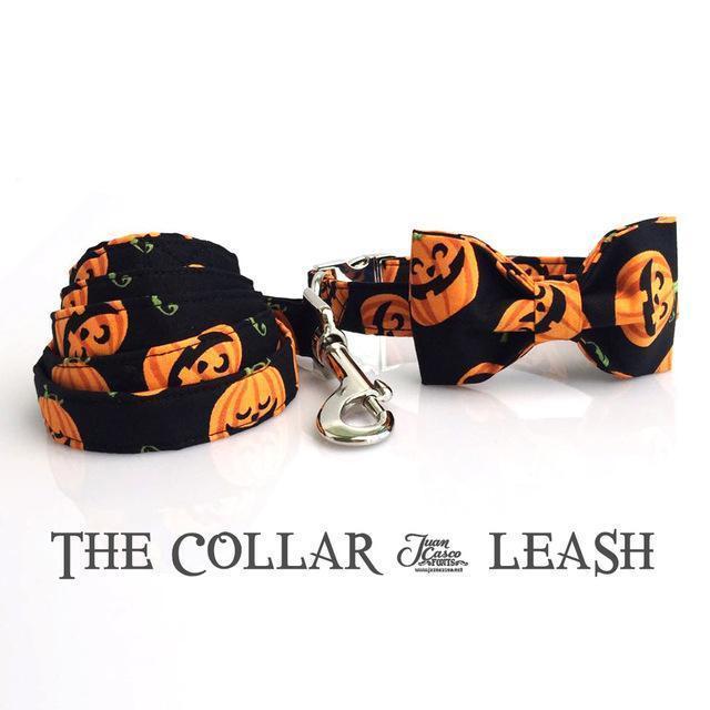 The Pumpkin™ Fashion Pet Set of Collar & Leash Artist Collars & Harnesses Pet Clever collar bow and leash XS 