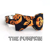 The Pumpkin™ Fashion Pet Set of Collar & Leash Artist Collars & Harnesses Pet Clever 