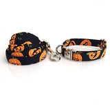 The Pumpkin™ Fashion Pet Set of Collar & Leash Artist Collars & Harnesses Pet Clever collar and leash XS 