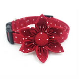 The Rebecca™ Fashion Pet Set of Collar & Leash Artist Collars & Harnesses Pet Clever collar with flower XS 