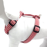 The Sassy Red™ Fashion Pet Set of Collar, Leash & Harness Artist Collars & Harnesses Pet Clever Harness only S 