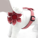 The Sassy Red™ Fashion Pet Set of Collar, Leash & Harness Artist Collars & Harnesses Pet Clever Harness with flower S 