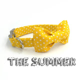 The Summer™ Fashion Pet Set of Collar & Leash Artist Collars & Harnesses Pet Clever 