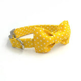 The Summer™ Fashion Pet Set of Collar & Leash Artist Collars & Harnesses Pet Clever collar with bowtie XS 