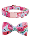 The Watermelon™ Fashion Pet Set of Collar & Leash Artist Collars & Harnesses Pet Clever 