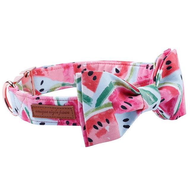 The Watermelon™ Fashion Pet Set of Collar & Leash Artist Collars & Harnesses Pet Clever collar and bow XS 