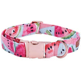 The Watermelon™ Fashion Pet Set of Collar & Leash Artist Collars & Harnesses Pet Clever necklace XS 