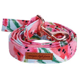 The Watermelon™ Fashion Pet Set of Collar & Leash Artist Collars & Harnesses Pet Clever leash XS 