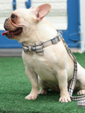 The White Plaid™ Fashion Pet Set of Collar & Leash Artist Collars & Harnesses Pet Clever 