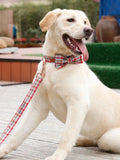 The Wonderful™ Fashion Pet Set of Collar & Leash Artist Collars & Harnesses Pet Clever 