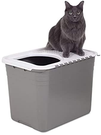 Top Entry Litter Pan Cat Litter Box Cat Litter Boxes & Litter Trays Pet Clever 