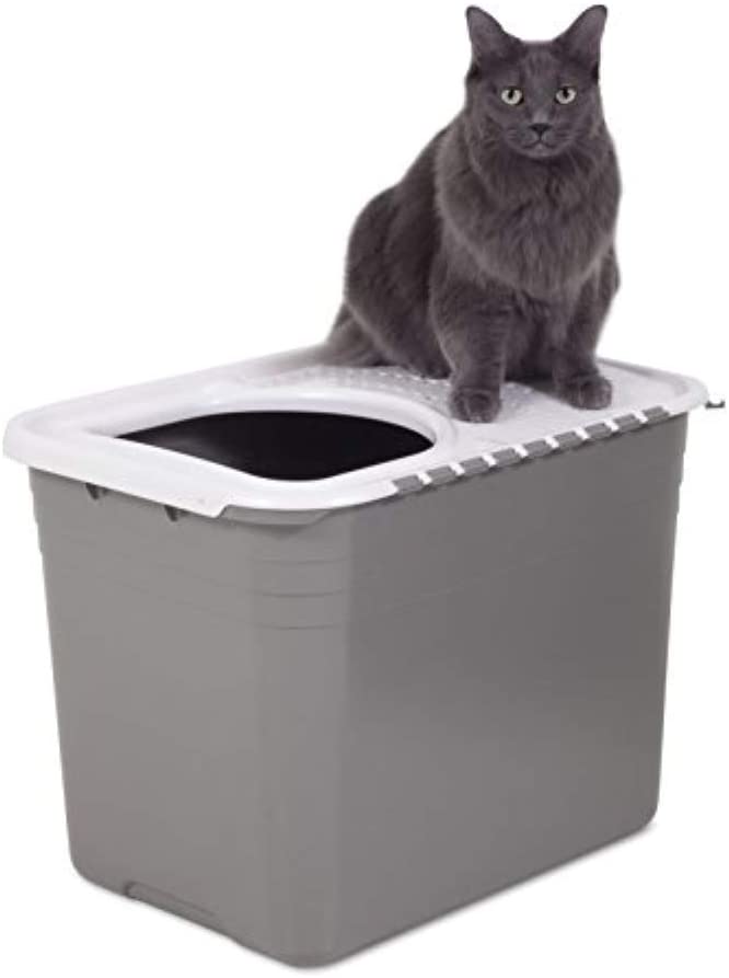 Top Entry Litter Pan Cat Litter Box Pet Clever