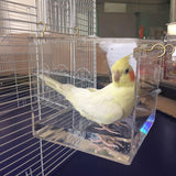 Transparent Pet Bird Bath House with Hanging Hooks Bird Bath Pet Clever 