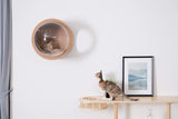 Wall Mounted Pet Bed Cat Pet Clever 